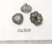 Click for 1 image(s) for this accession. FRUIT
